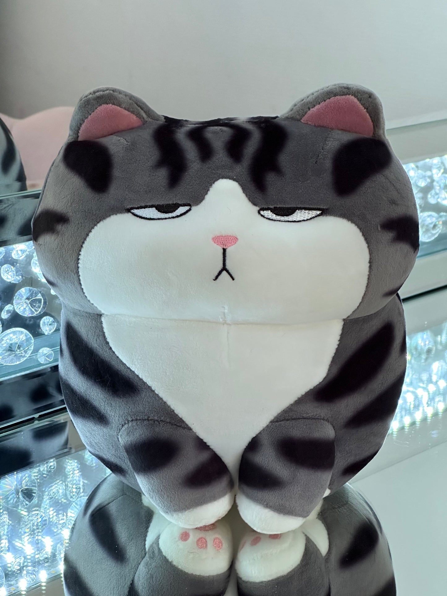 Chat en peluche