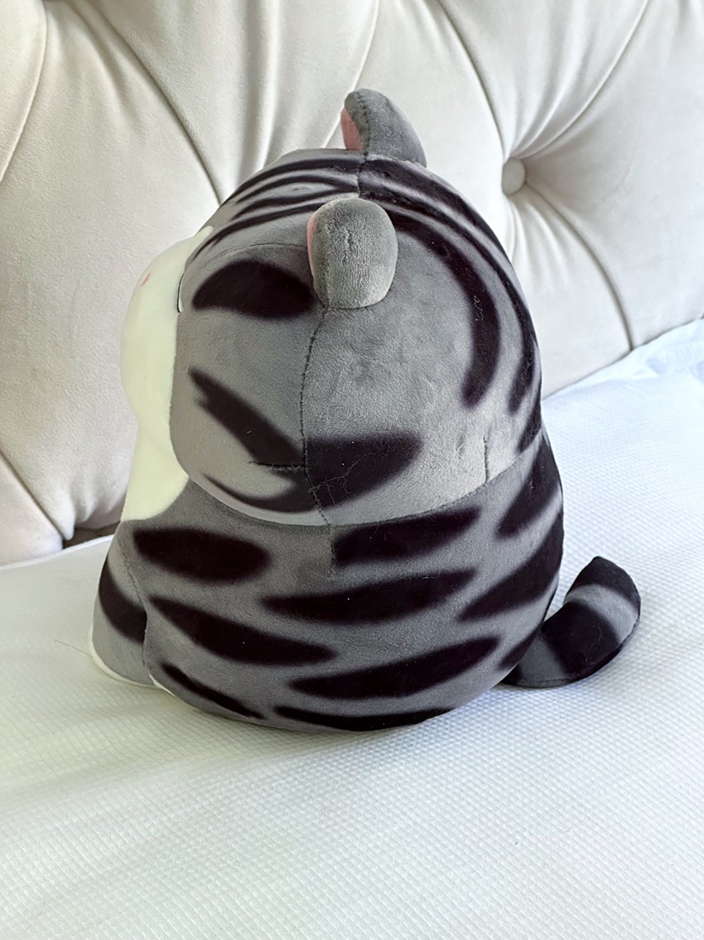Chat en peluche