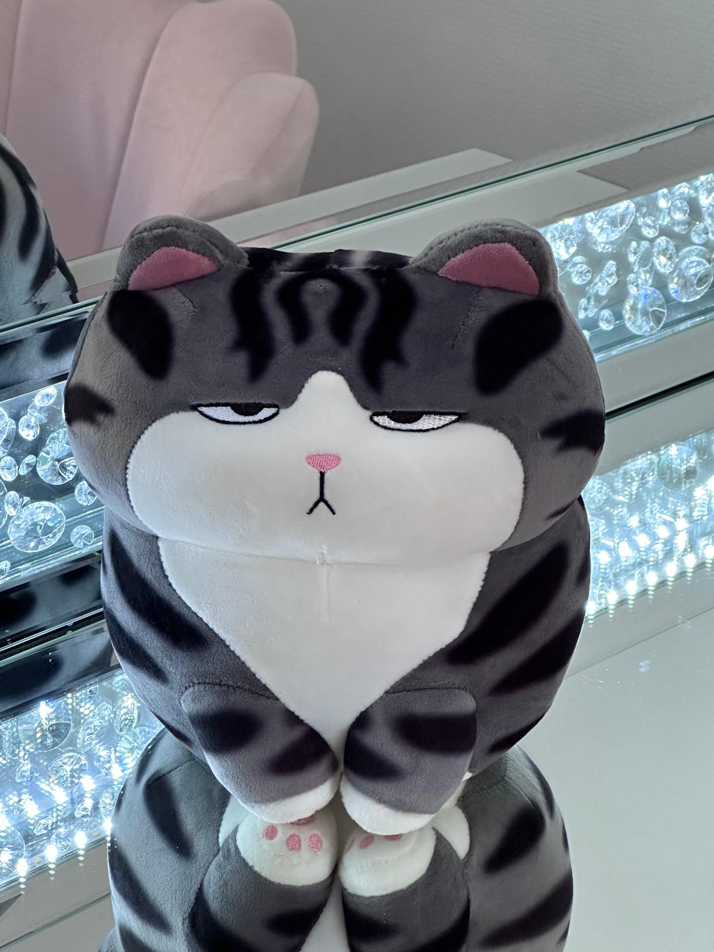 Chat en peluche