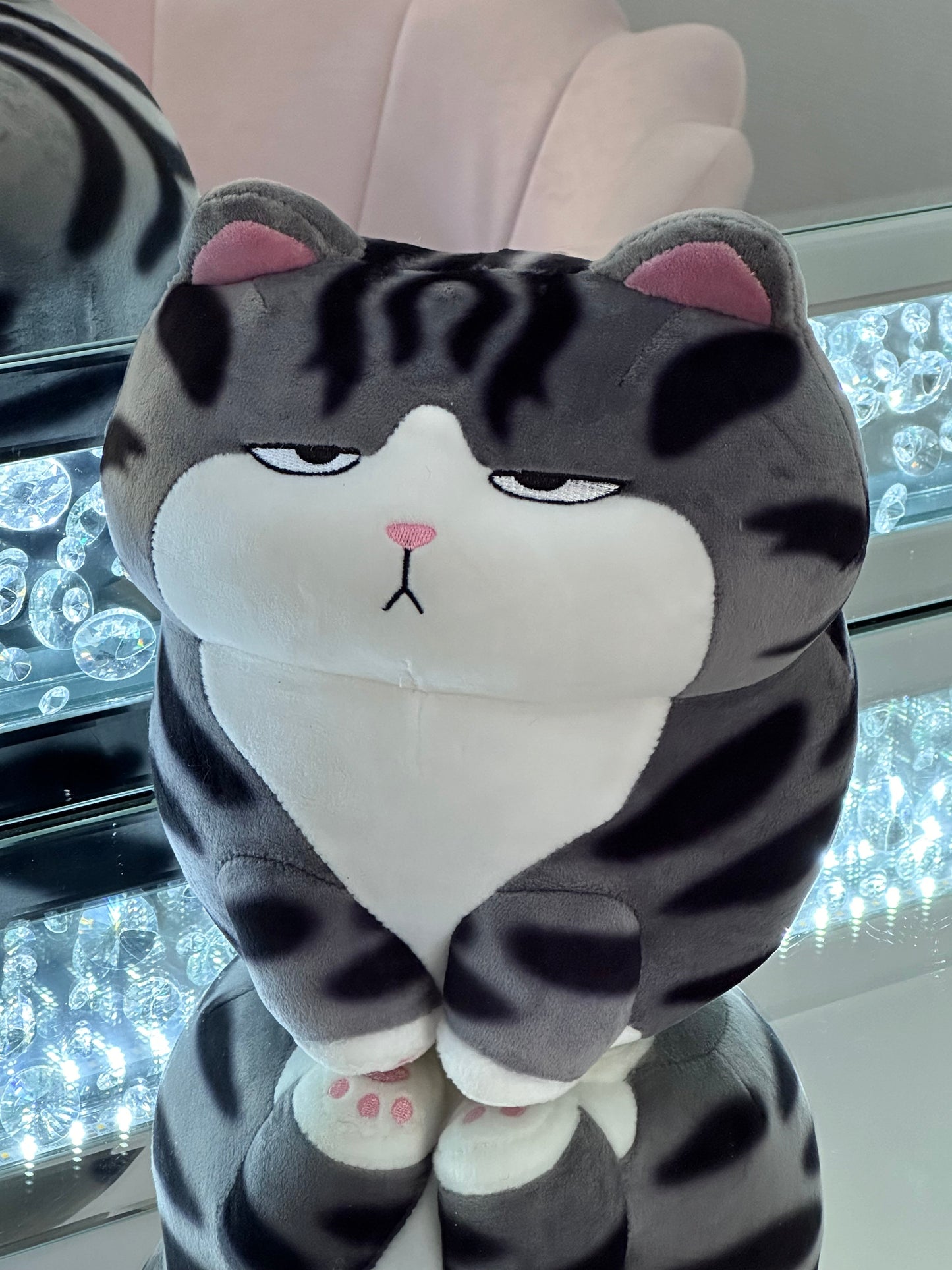 Chat en peluche