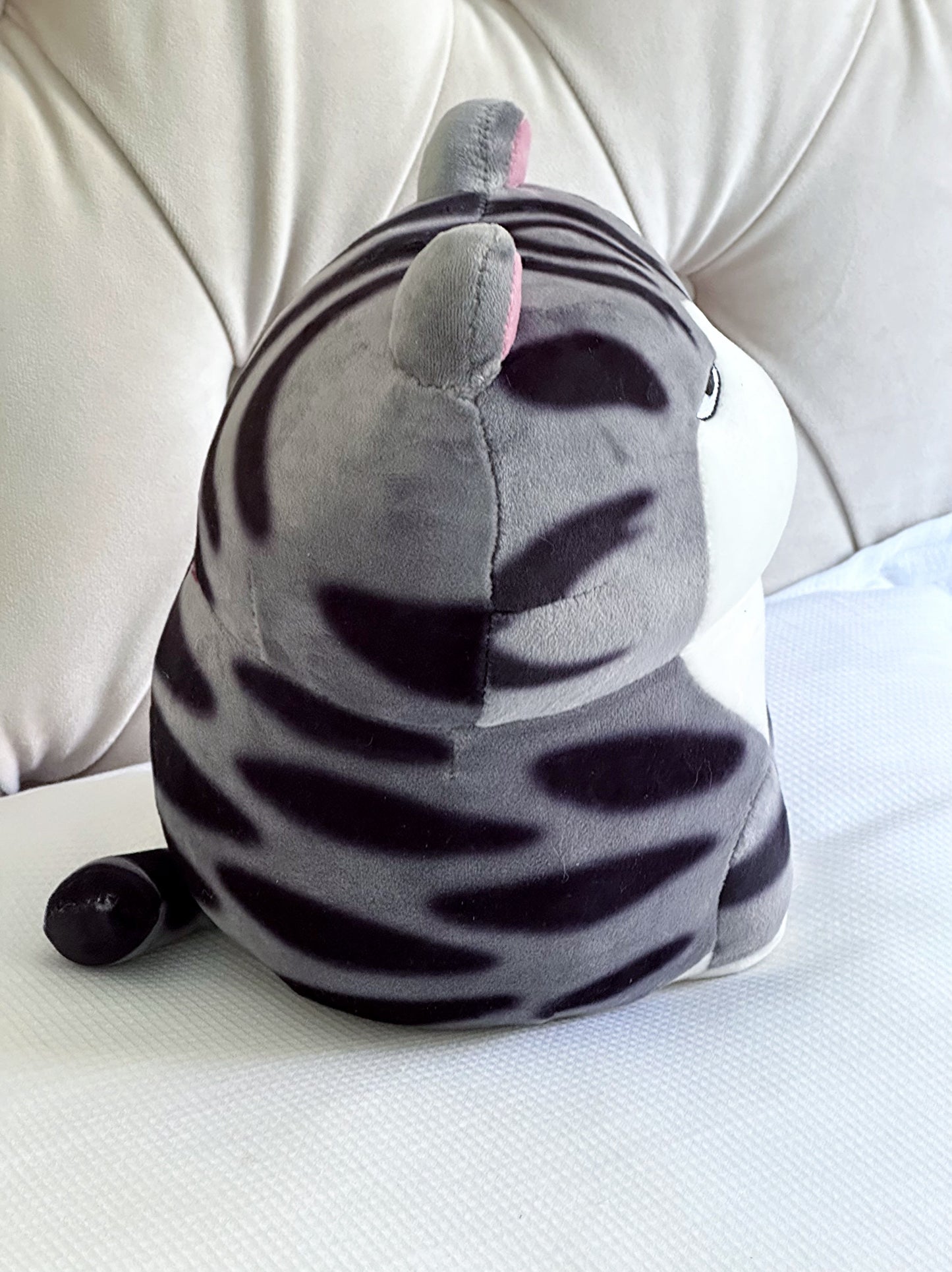 Chat en peluche